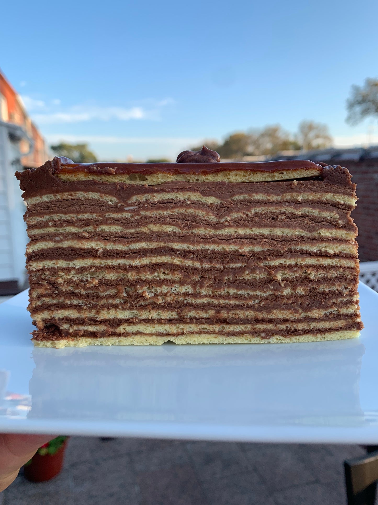 Dobos Torte